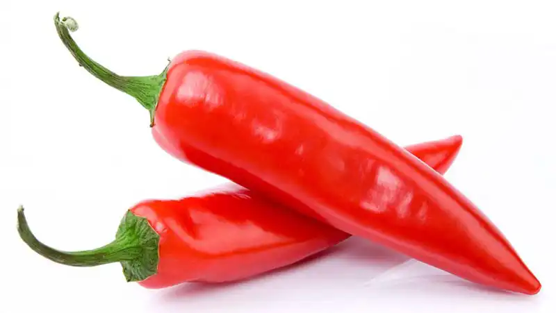 Capsaicin Powder.jpg